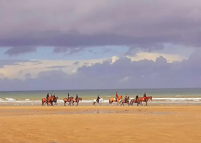 Confortable 2 Pièces Calme à 200 M Wifi