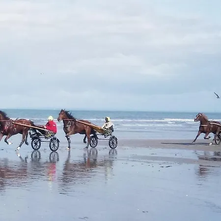 Apartmán Confortable 2 Pieces Calme A 200 M Wifi *